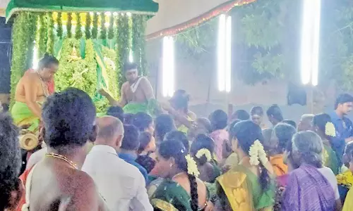 ஆறுமுகநேரி சோமநாத சுவாமி கோவிலில் பச்சை சாத்தி சப்பரபவனி