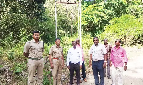 மேற்கு தொடர்ச்சி மலையில் மின் பணிகள் ஆய்வு