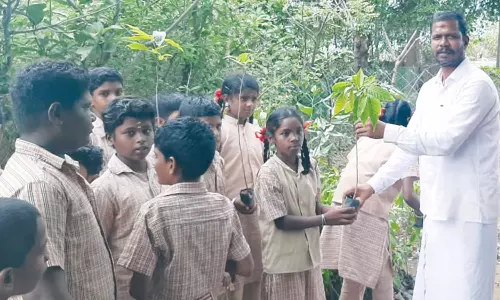 அரசு பள்ளியில் மரக்கன்று நடும் விழா