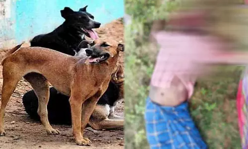 குடிபோதையில் இறந்த கொத்தனார் உடலை தெருநாய்கள் கடித்து குதறிய அவலம்