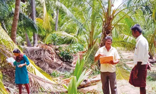 ஆக்கிரமிப்புகளை அகற்ற பாலாற்றில் நிலம் அளவீடு செய்யும் பணி