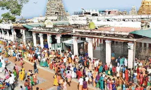 பழனியில் குவிந்த பக்தர்கள் கூட்டம்- நீண்ட நேரம் காத்திருந்து சாமி தரிசனம்