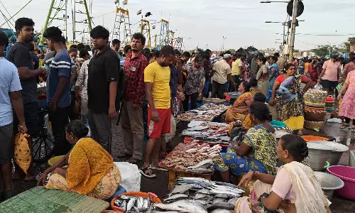 காசிமேடு மார்க்கெட்டில் பெரிய வகை மீன்கள் விற்பனைக்கு வந்தது- கூட்டம் அலைமோதியது