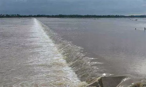 தண்ணீர் வற்றியதால் பாலாற்றை தூர்வார நடவடிக்கை எடுக்க வேண்டும்இயற்கை ஆர்வலர்கள் வலியுறுத்தல்