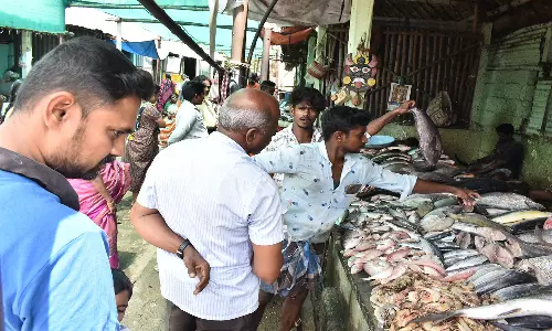 ஈரோடு மார்க்கெட்டிற்கு மீன்கள் வரத்து 12 டன்னாக அதிகரிப்பு