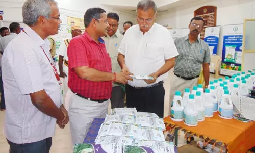 உர வகைகளை காட்சிப்படுத்திய கூட்டுறவு விற்பனை இணைய நிறுவனம்