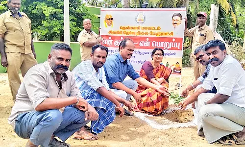 சிவகிரி பேரூராட்சி பகுதியில் மரக்கன்றுகள் நடும் பணி