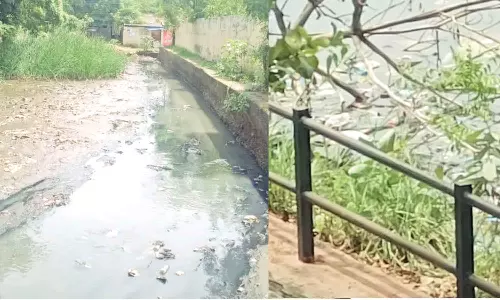 கழிவுநீர் கால்வாயில் குவிந்து கிடக்கும் பிளாஸ்டிக் கழிவுகள்- பொதுமக்களை மிரட்டும் விஷ பாம்புகள்