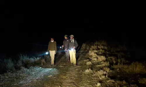 பெரம்பலூரில் வன விலங்கு வேட்டையை முற்றிலும் தடுக்க வனத்துறையினர் இரவு நேர ரோந்து பணி