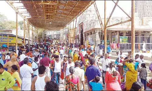 திருச்செந்தூர் சுப்பிரமணிய சுவாமி கோவிலில் ஆனி வருசாபிஷேக விழா 29-ந்தேதி நடக்கிறது