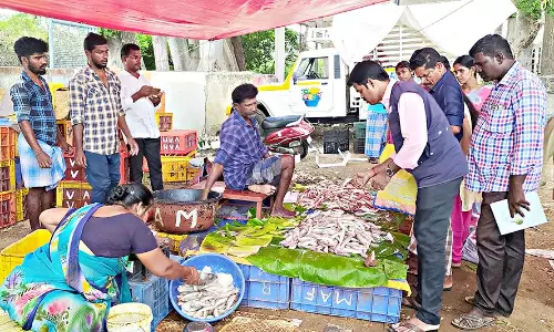 கெட்டுப்போன 100 கிலோ மீன்கள் பறிமுதல்