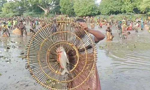 கண்மாயில் மீன்பிடி திருவிழா