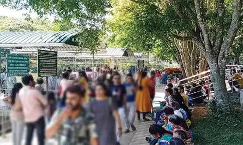 வார விடுமுறையொட்டி ஏற்காட்டில் சுற்றுலா பயணிகள் குவிந்தனர்