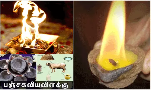 வீட்டில் ஹோமம் நடத்த முடியவில்லையா? அப்போ பஞ்சகவ்ய விளக்கு ஏற்றலாம்...