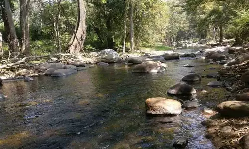 பஞ்சலிங்க அருவியில் நீர்வரத்து குறைவால் சின்னாற்றுக்கு தீர்த்தம் எடுக்க செல்லும் பொதுமக்கள்