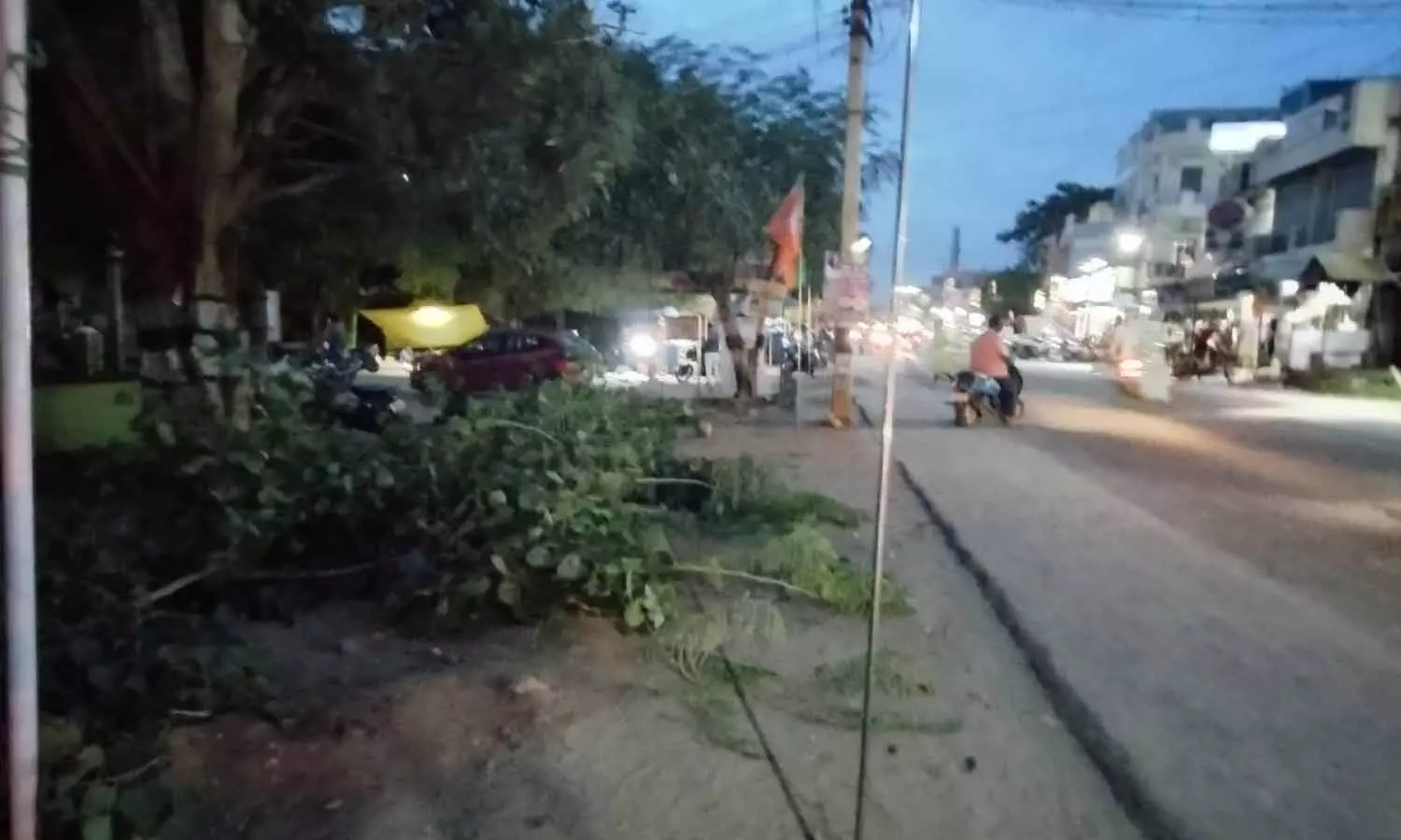 அவினாசியில் மரக்கிளைகளை வெட்டுபவர்கள் மீது சமூக ஆர்வலர்கள் புகார்