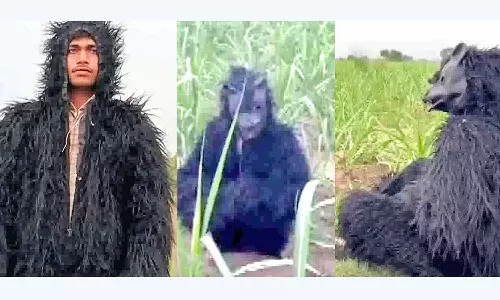 குரங்கு தொல்லையில் இருந்து பயிர்களை பாதுகாக்க கரடி வேடம் அணிந்த விவசாயிகள்