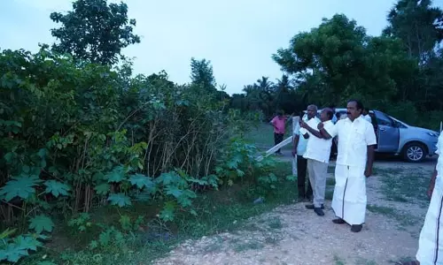 மரம் வளர்ப்பு பணிகளை அமைச்சர் மெய்யநாதன் ஆய்வு