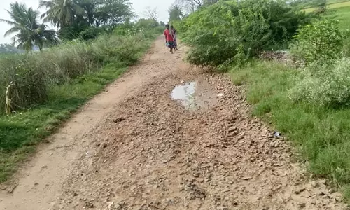 ஸ்ரீமுஷ்ணம் அருகே குறிஞ்சிகுடி பேரூர் சாலை சரி செய்யப்படுமா?