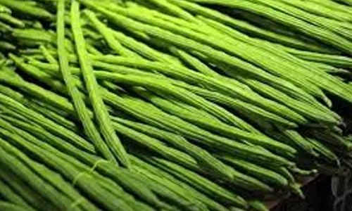 அரவக்குறிச்சி பகுதியில் முருங்கைக்காய் கிலோ ரூ.20-க்கு விற்பனை