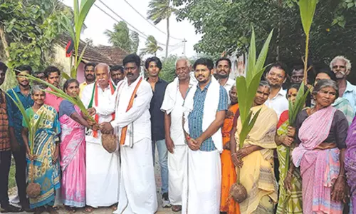 வீடு வீடாக சென்று தென்னங்கன்று வழங்கல்