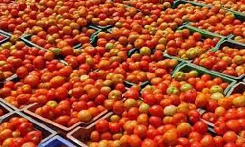 நாமக்கல் உழவர் சந்தையில் தக்காளி கிலோ ரூ.80-க்கு விற்பனை