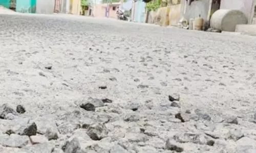 சாலை அமைத்த 3 மாதங்களிலேயே ஜல்லிக்கற்கள் பெயர்ந்து சேதம்