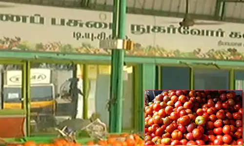 தாறுமாறாக உயர்ந்த தக்காளி விலை.. கொள்முதல் விலைக்கே விற்பனை செய்ய தமிழக அரசு முடிவு