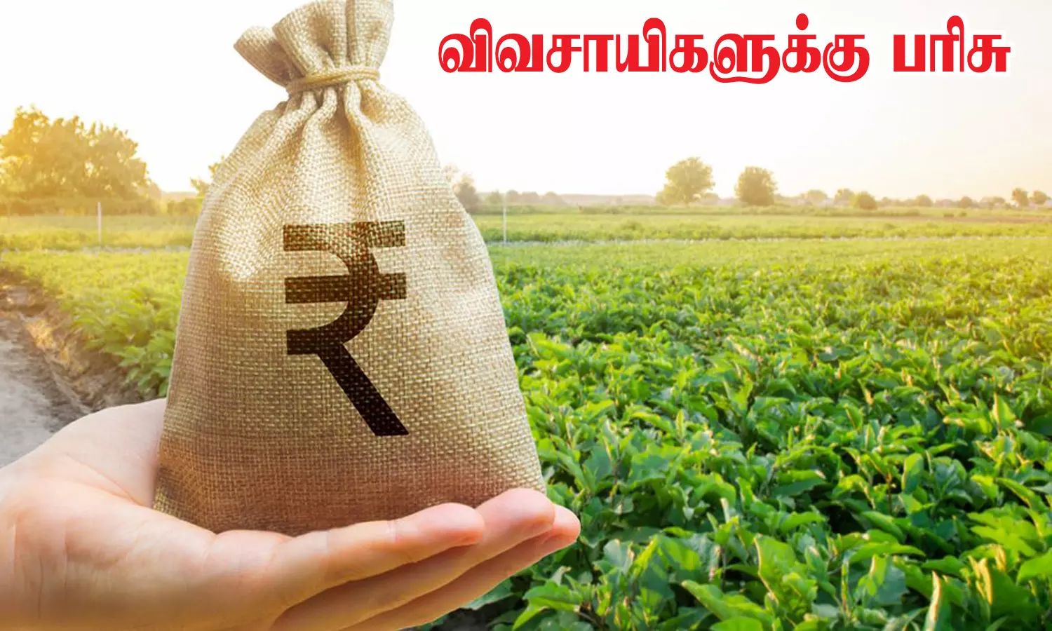 இயற்கை விவசாயத்தில் சிறந்து விளங்கும் விவசாயிகளுக்கு பரிசு இயற்கை விவசாயத்தில் சிறந்து விளங்கும் விவசாயிகளுக்கு பரிசு