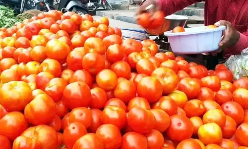 தக்காளி விலை திடீர் உயர்வு ஏன்?