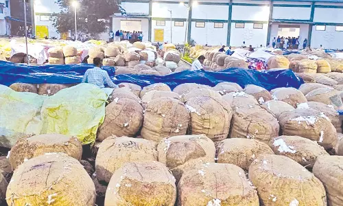 திருவாரூரில் கனமழை: ஒழுங்குமுறை விற்பனை கூடத்தில் இருந்த 2000 பருத்தி மூட்டைகள் நனைந்து சேதம்