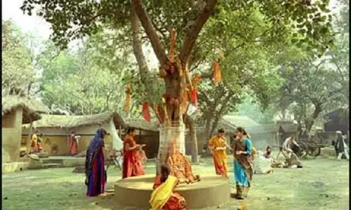 அரச மரத்தை எத்தனை முறை சுற்றினால் பிரச்சனைகள் தீரும்...