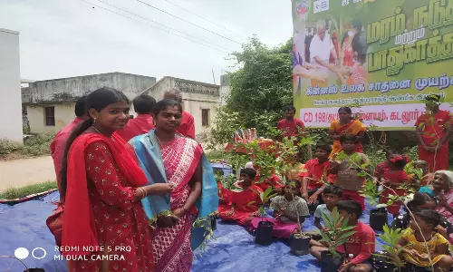 பண்ருட்டி அருகே மரக்கன்று நடும் விழா