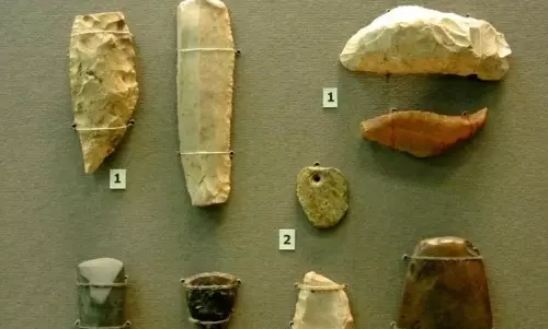 மாணவிகளுக்கு தொல்லியல்  குறித்த உள்விளக்க பயிற்சி