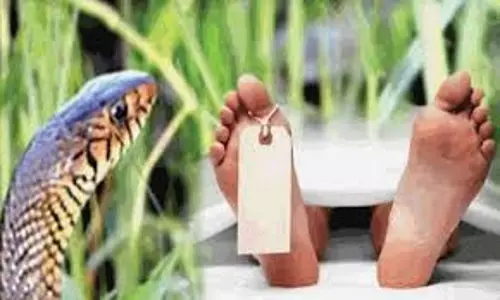 பாம்பு கடித்து பெண் சாவு