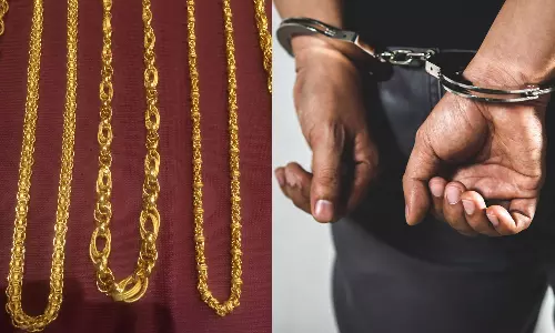 செயின்பறித்த வழக்கில் வாலிபர் கைது