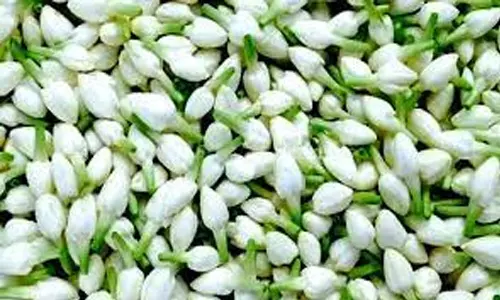 மல்லிகை பூக்கள் விலை இருமடங்கு உயர்வு