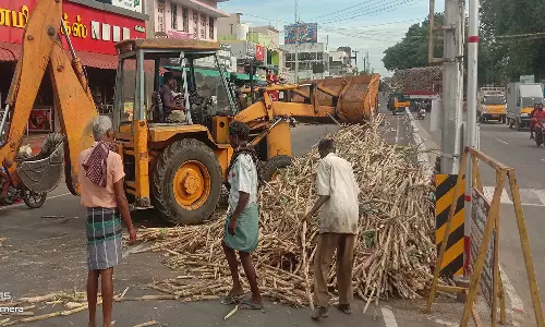 லாரியில் இருந்து ரோட்டில் கொட்டிய கரும்புகள்
