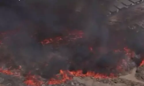 கலிபோர்னியாவில் பரவும் தீ- வீடுகள், வாகனங்கள் எரிந்து நாசம்