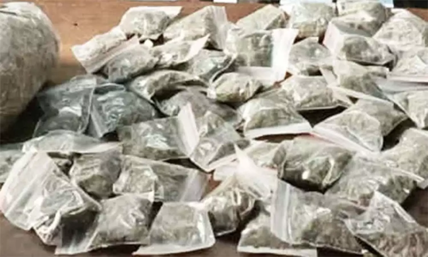 கஞ்சா பொட்டலங்களுடன் வாலிபர் கைது | Thiruvannamalai News Teenager arrested  with packs of ganja