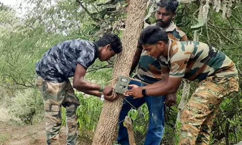 அம்மாபேட்டை அருகே சிறுத்தை நடமாட்டத்தை கண்காணிக்க கேமிரா பொருத்தம்