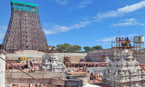 திருச்செந்தூர் சுப்பிரமணிய சுவாமி கோவிலில் ஆனி வருசாபிஷேகம்