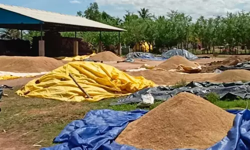 கந்தர்வகோட்டை அருகே நெல் கொள்முதல் செய்யாததால் விவசாயிகள் வேதனை