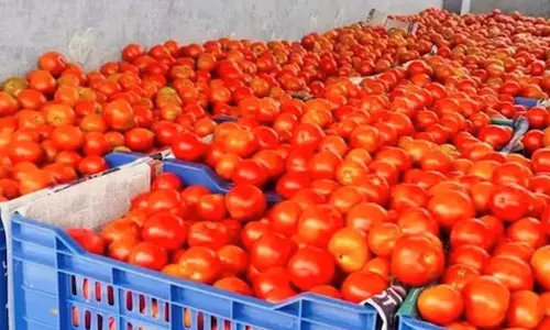 வரத்து குறைவால் கரூரில் 1 கிலோ தக்காளி ரூ.90-க்கு விற்பனை