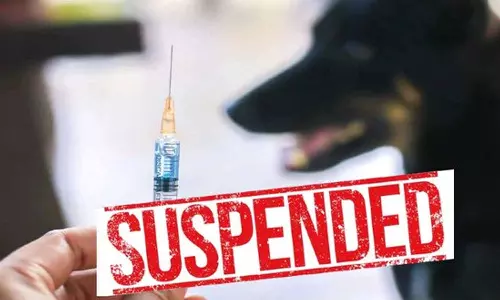 சளி சிகிச்சைக்கு நாய்க்கடி ஊசி போட்ட செவிலியர் பணியிடை நீக்கம்