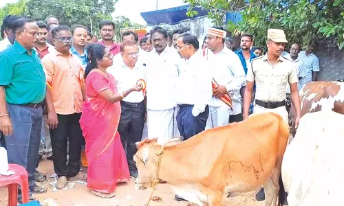 சிறப்பு கால்நடை மருத்துவ முகாம்