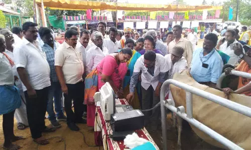 கலைஞர் நூற்றாண்டு விழா: திருக்கழுக்குன்றத்தில் சிறப்பு கால்நடை மருத்துவ முகாம்