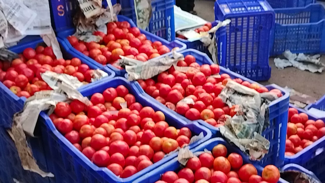 உத்தரகாண்ட் மாநிலத்தில் தக்காளி கிலோ ரூ.250-க்கு விற்பனை உத்தரகாண்ட் மாநிலத்தில் தக்காளி கிலோ ரூ.250-க்கு விற்பனை