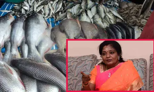 மீனை சைவத்தில் சேர்க்கலாம்- கவர்னர் தமிழிசை புதுயோசனை