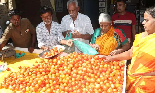 10 கடைகளில் ஒரு கிலோ தக்காளி ரூ.60-க்கு விற்பனை- ஒரே நாளில் 2 ஆயிரம் கிலோ விற்று தீர்ந்தது